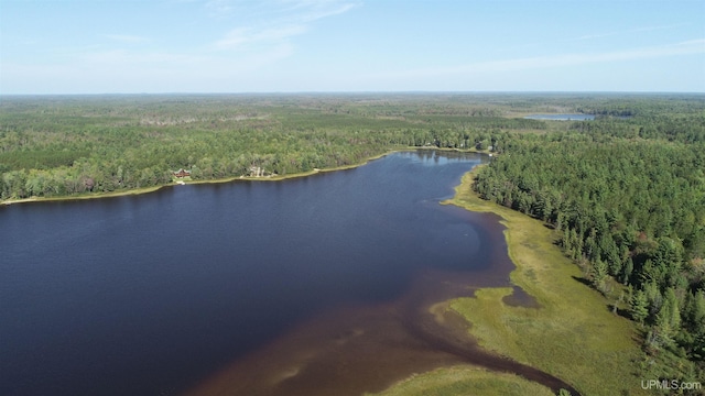 aerial view with a water view and a forest view