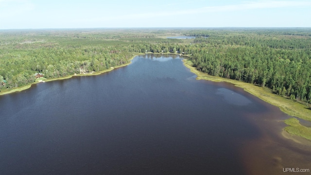 aerial view featuring a wooded view and a water view