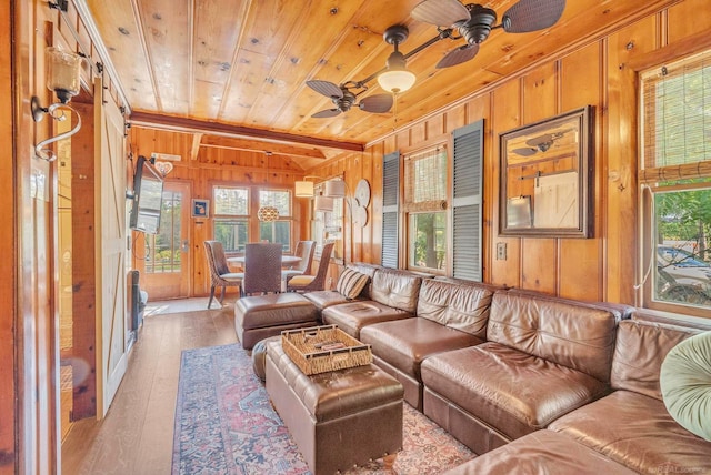 living room with wood walls, hardwood / wood-style floors, ceiling fan, and a wealth of natural light