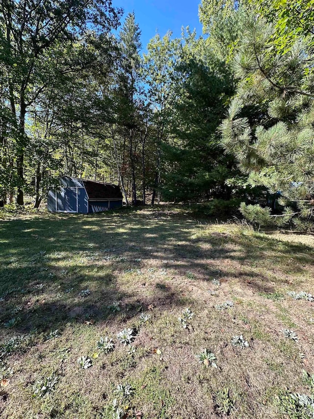 view of yard with a storage shed