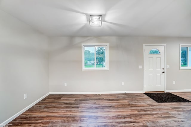 entrance foyer with wood-type flooring