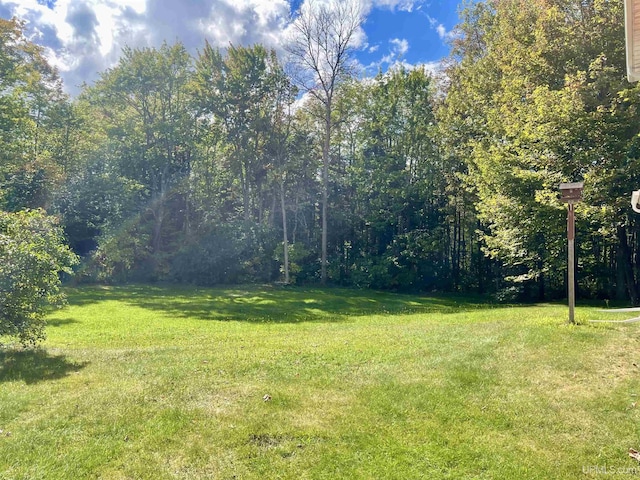 156 N Carlshend Rd, Skandia, MI 49885 - view of yard