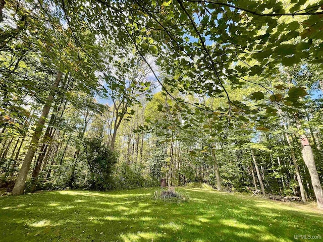 156 N Carlshend Rd, Skandia, MI 49885 - view of yard featuring a wooded view