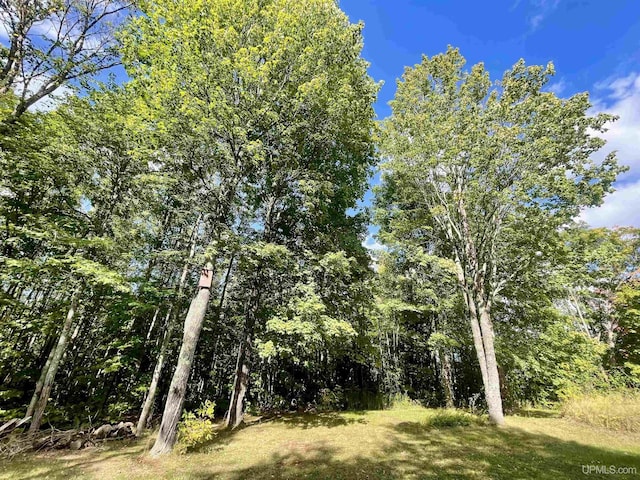 156 N Carlshend Rd, Skandia, MI 49885 - view of nature