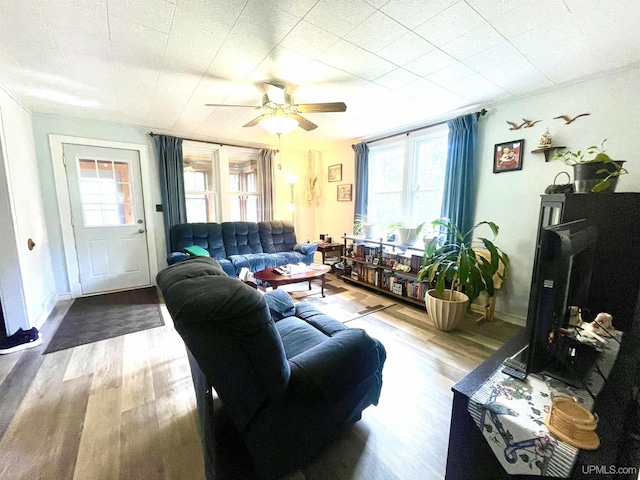 156 N Carlshend Rd, Skandia, MI 49885 - living room with baseboards, ceiling fan, and wood finished floors