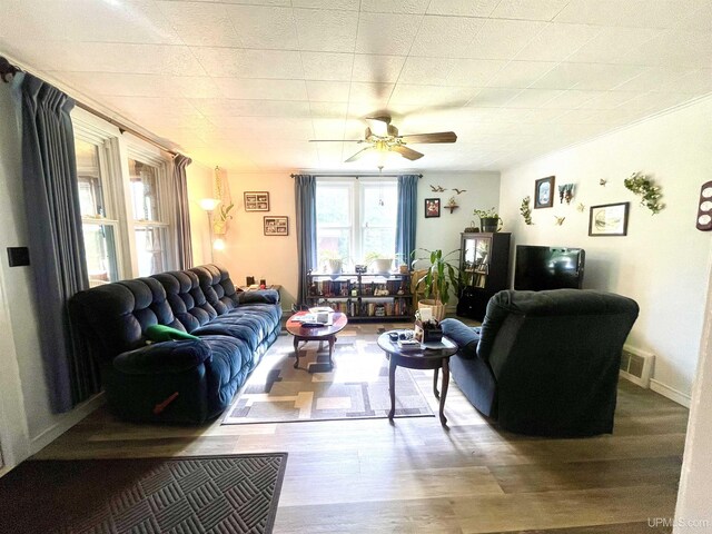 living room featuring ceiling fan and wood-type flooring