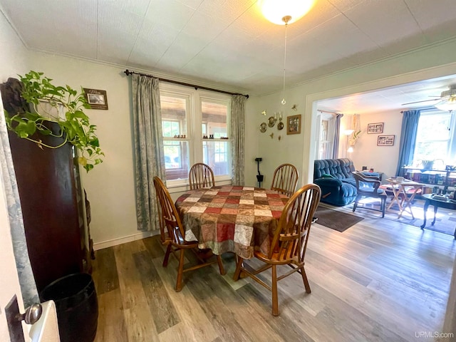 dining space with ornamental molding, light hardwood / wood-style floors, and ceiling fan