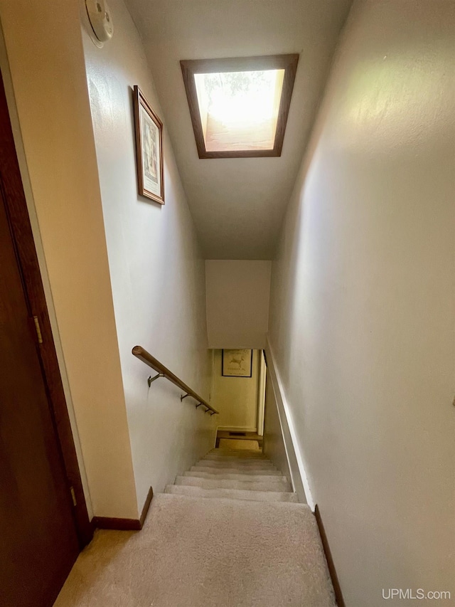 156 N Carlshend Rd, Skandia, MI 49885 - stairway featuring a skylight, baseboards, and carpet floors