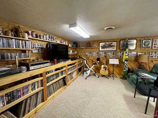 156 N Carlshend Rd, Skandia, MI 49885 - interior space featuring visible vents, carpet, and a textured ceiling