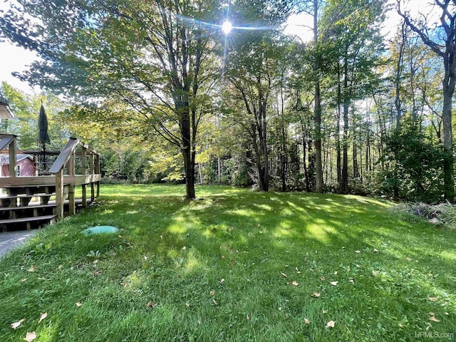 156 N Carlshend Rd, Skandia, MI 49885 - view of yard with a wooden deck