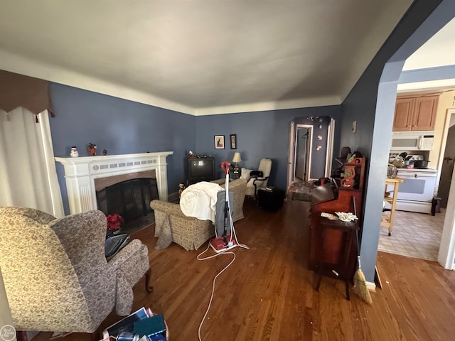 living room featuring wood-type flooring