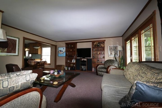 living room featuring carpet and crown molding