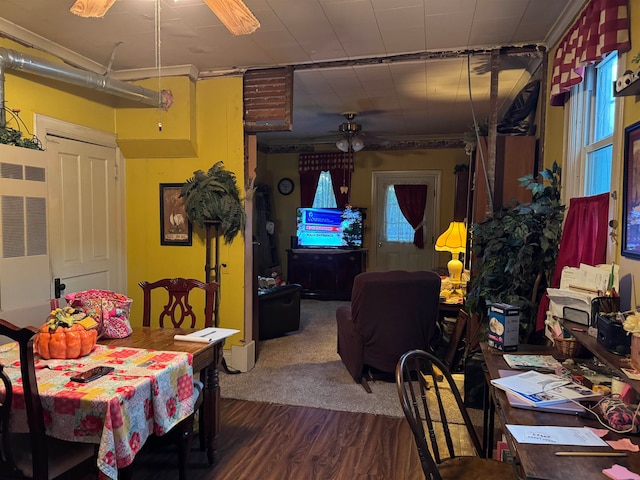 dining space with ornamental molding, dark hardwood / wood-style floors, and ceiling fan