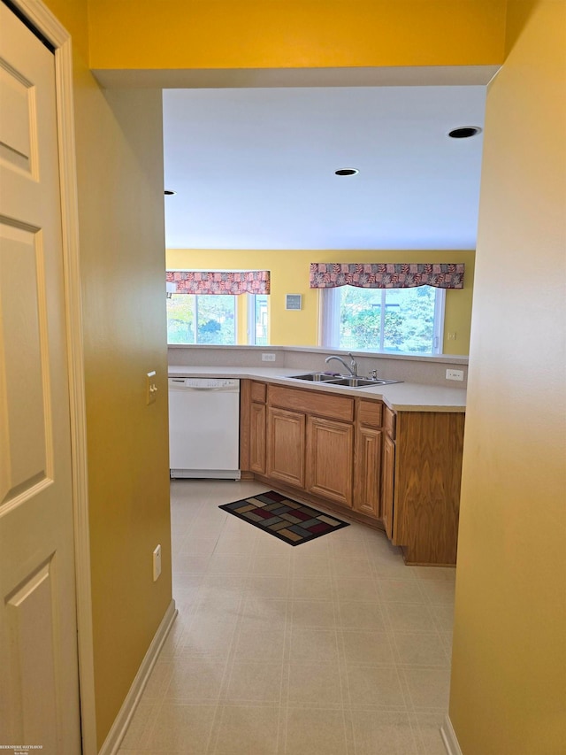 kitchen with dishwasher and sink