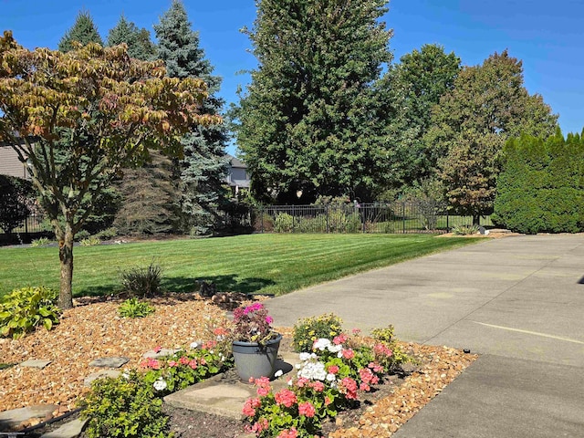 view of yard featuring a patio area