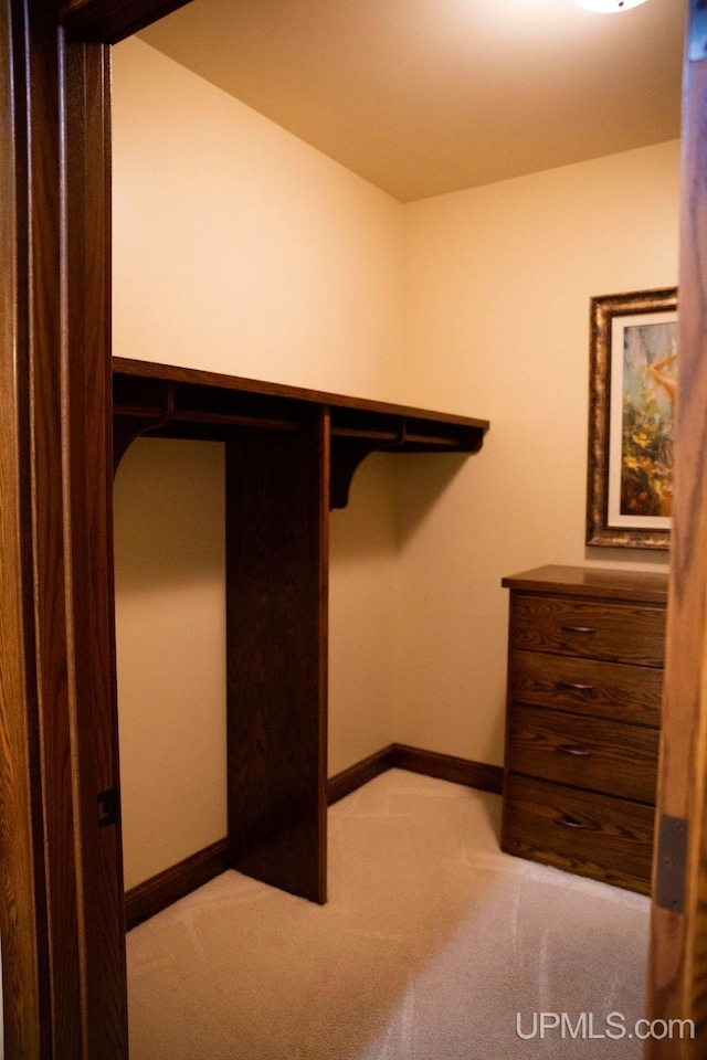 spacious closet featuring light carpet