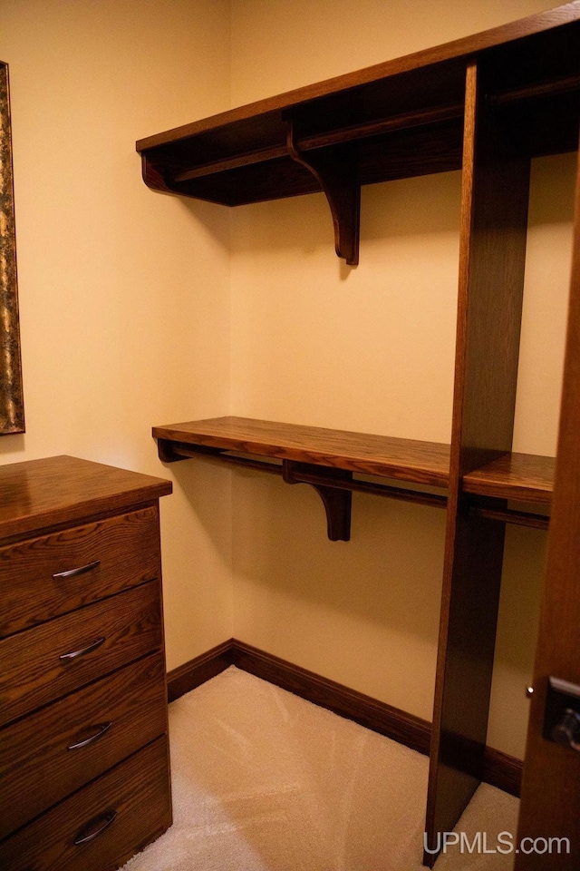 walk in closet featuring carpet floors