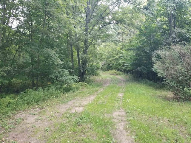 Listing photo 3 for 92ACRES E River Rd, Mount Pleasant MI 48858