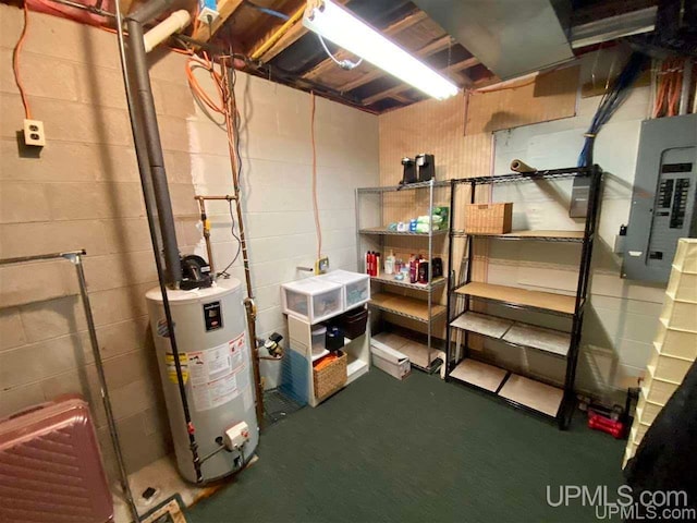 basement featuring gas water heater and electric panel