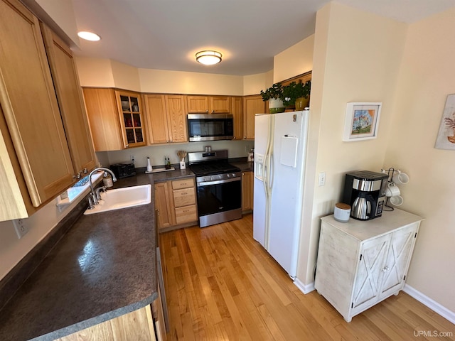 kitchen with appliances with stainless steel finishes, light wood-type flooring, and sink