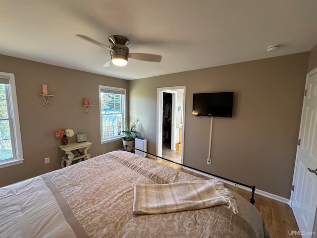 bedroom featuring light wood-type flooring, ceiling fan, and a walk in closet