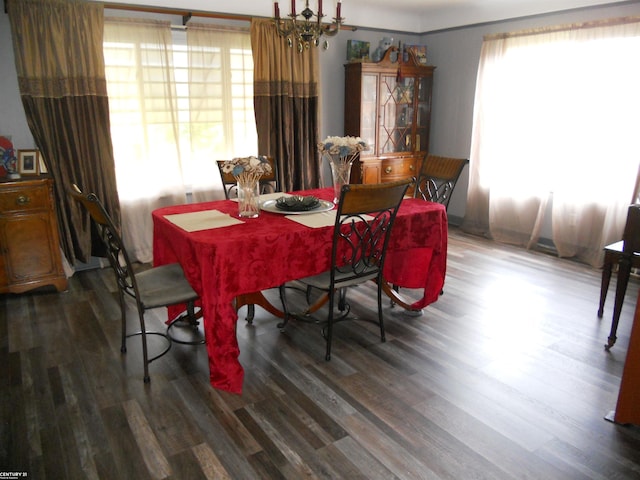 dining room with dark wood-type flooring