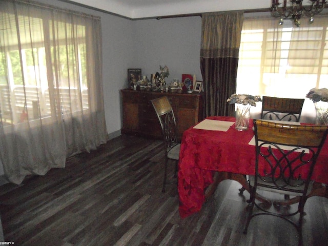 dining area with a notable chandelier and hardwood / wood-style flooring