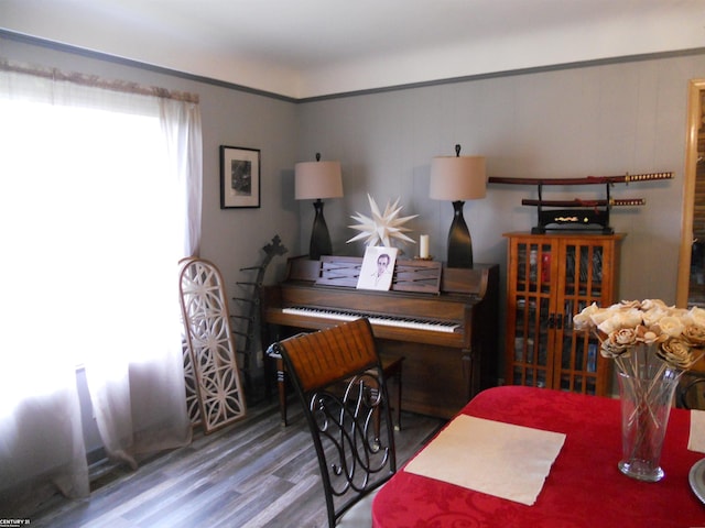 dining space featuring hardwood / wood-style floors