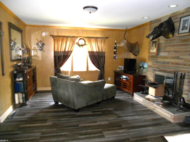 living room with ornamental molding, dark wood-type flooring, and a fireplace