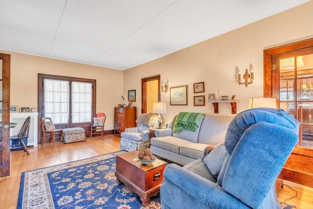 living room featuring hardwood / wood-style floors