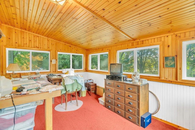 interior space featuring wood ceiling and vaulted ceiling