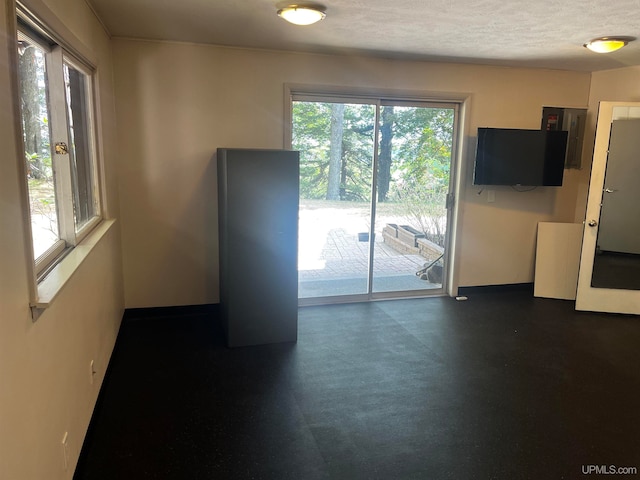 spare room with electric panel, a textured ceiling, and a healthy amount of sunlight