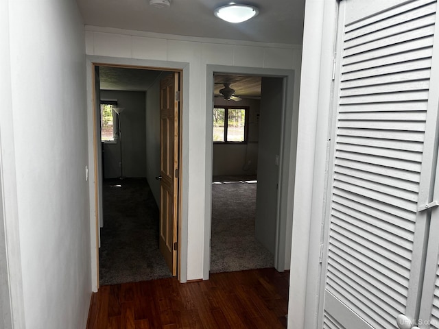 hallway with dark hardwood / wood-style floors