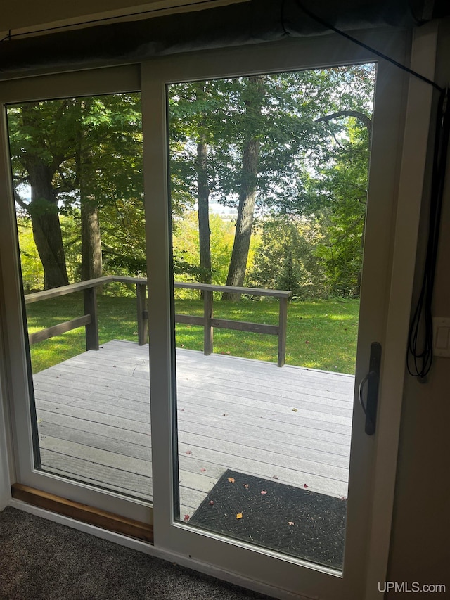 doorway to outside with carpet floors and a healthy amount of sunlight