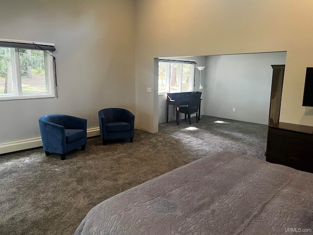 living area with dark colored carpet and baseboard heating