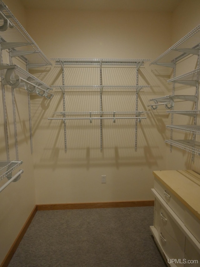 walk in closet featuring dark colored carpet