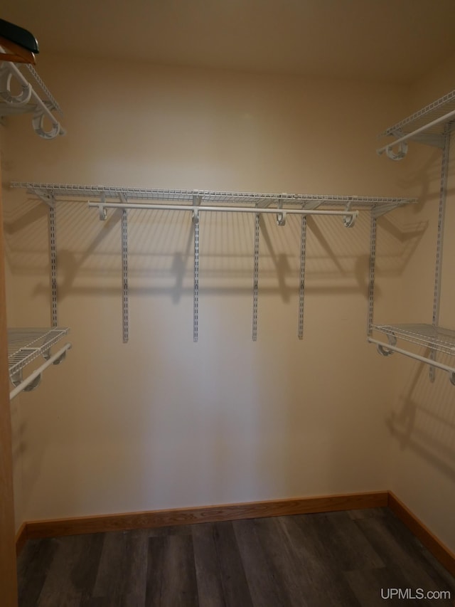 spacious closet featuring wood finished floors