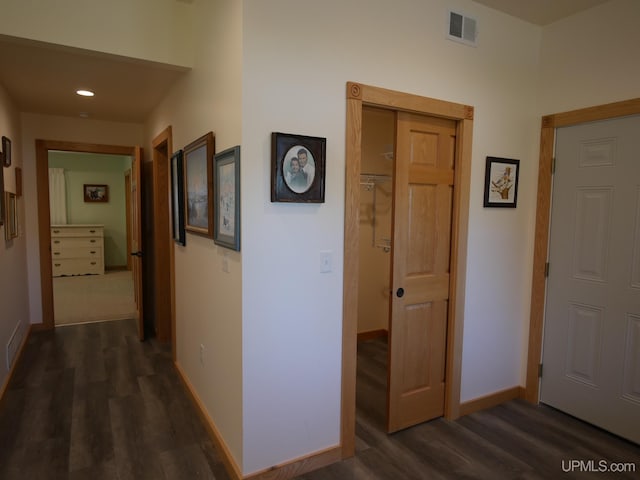 hall featuring dark wood-type flooring