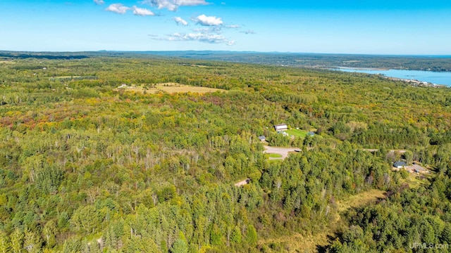 drone / aerial view featuring a view of trees and a water view