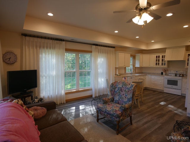 living room with dark hardwood / wood-style flooring, ceiling fan, and sink