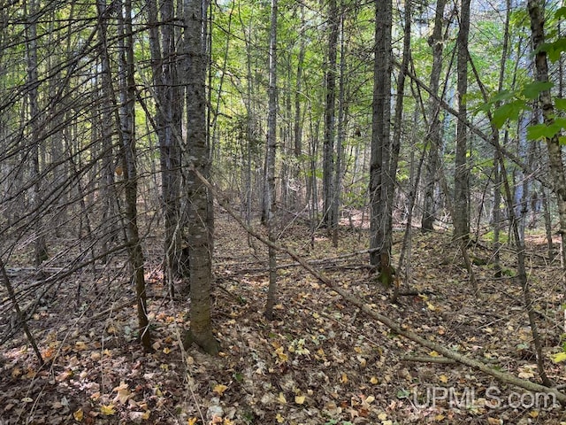 Listing photo 3 for TBD Webb Rd, Grand Marais MI 49839