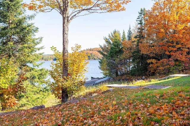 23 Chipman Dr, Ishpeming, MI 49849 - view of yard with a water view