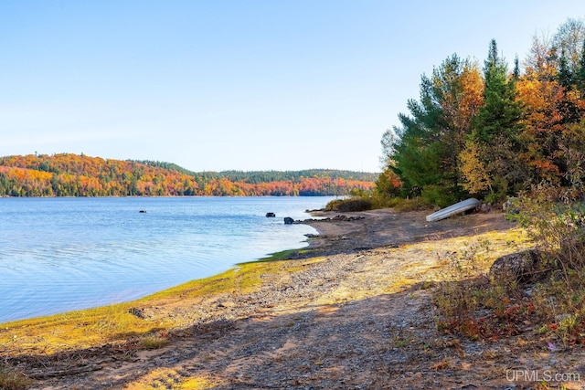 23 Chipman Dr, Ishpeming, MI 49849 - water view with a heavily wooded area