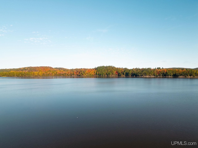 23 Chipman Dr, Ishpeming, MI 49849 - water view with a forest