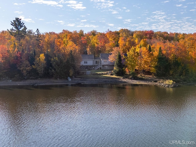 23 Chipman Dr, Ishpeming, MI 49849 - water view with a heavily wooded area