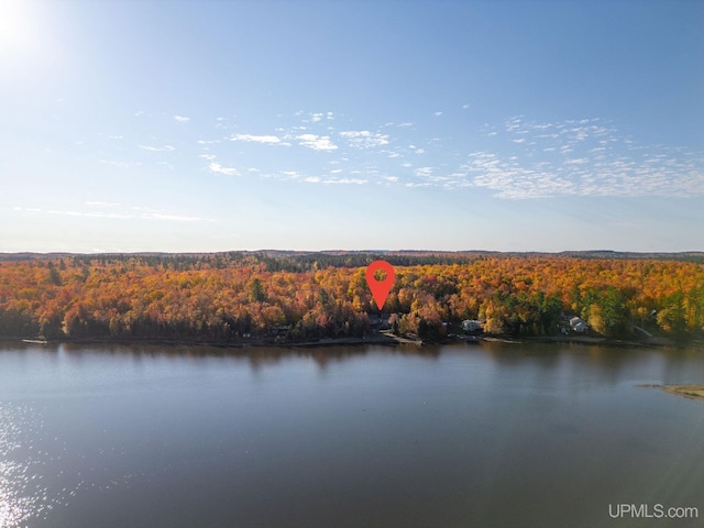 23 Chipman Dr, Ishpeming, MI 49849 - water view with a forest