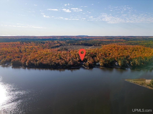 23 Chipman Dr, Ishpeming, MI 49849 - drone / aerial view of a heavily wooded area and a nearby body of water