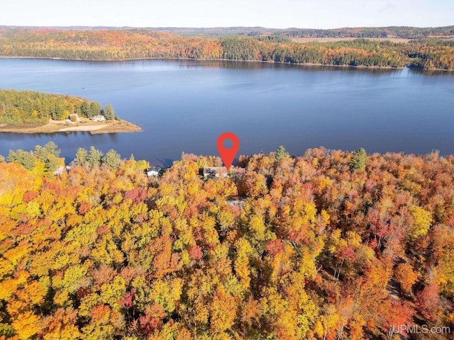 23 Chipman Dr, Ishpeming, MI 49849 - water view with a heavily wooded area