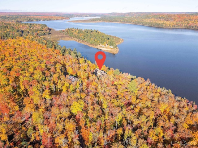23 Chipman Dr, Ishpeming, MI 49849 - aerial view of a nearby body of water and a heavily wooded area
