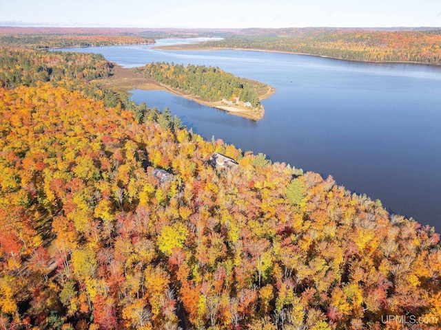 23 Chipman Dr, Ishpeming, MI 49849 - drone / aerial view of a nearby body of water and a heavily wooded area
